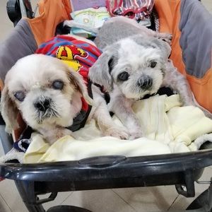 Meet your Posher, Parichat